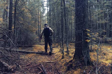 Купить диплом Егеря, лесника в Тольятти